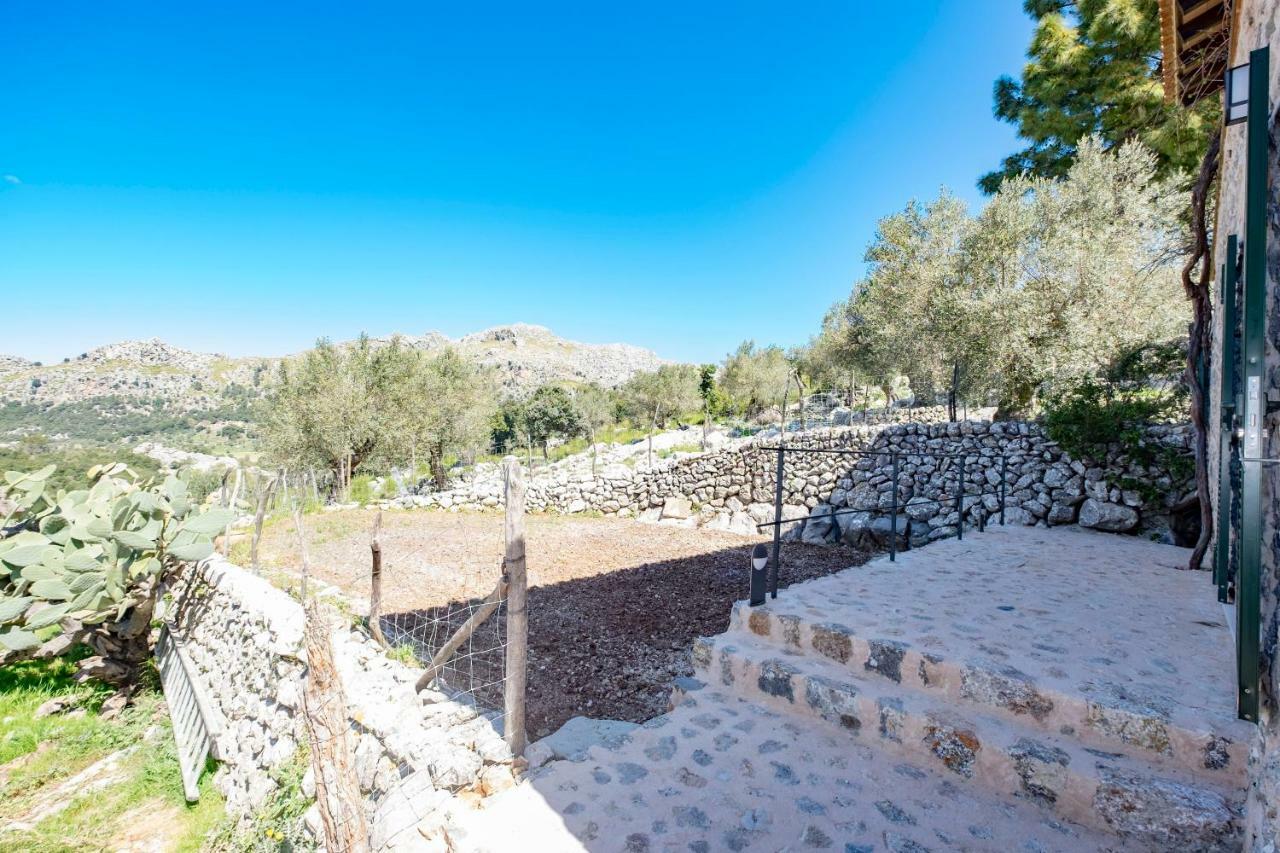 Agroturismo Son Alzines 룩크 외부 사진